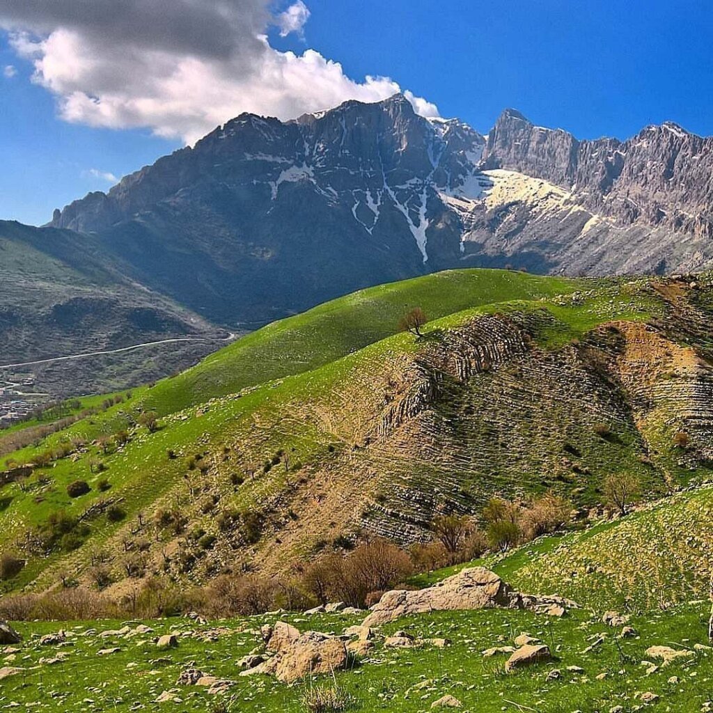 چیای پیرەمەگرون