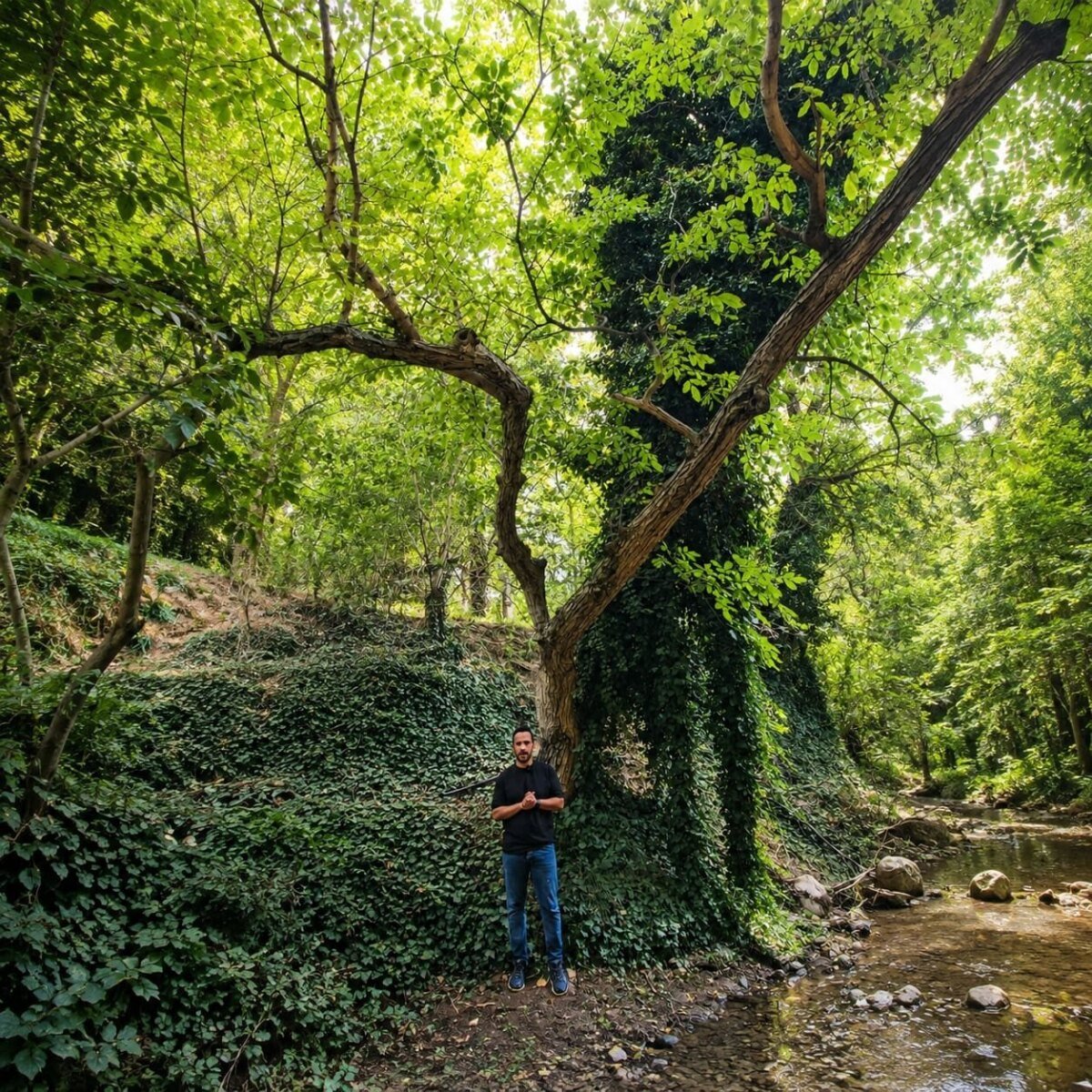 دەرەی بیارە — هاوین
