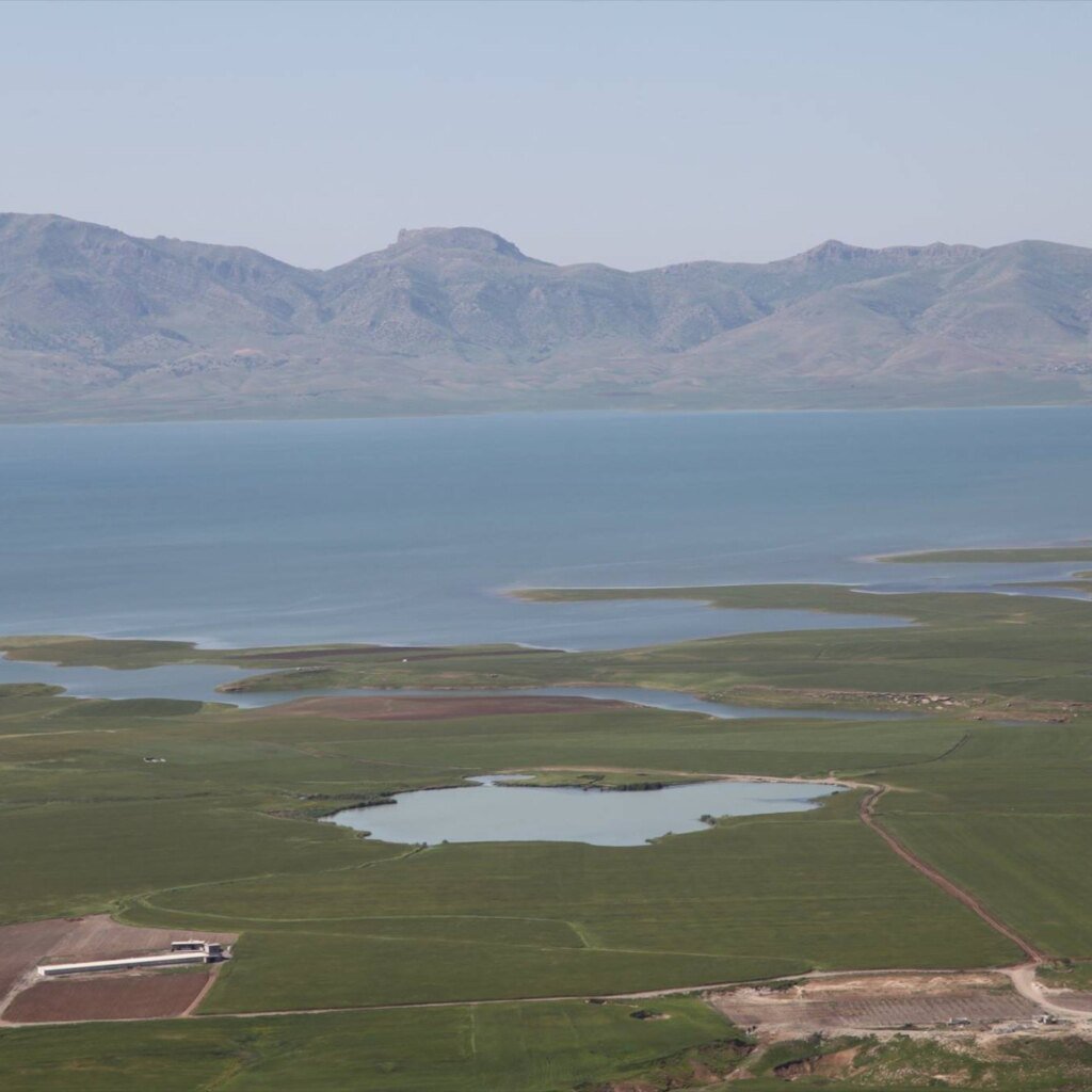 گۆمی گەناو