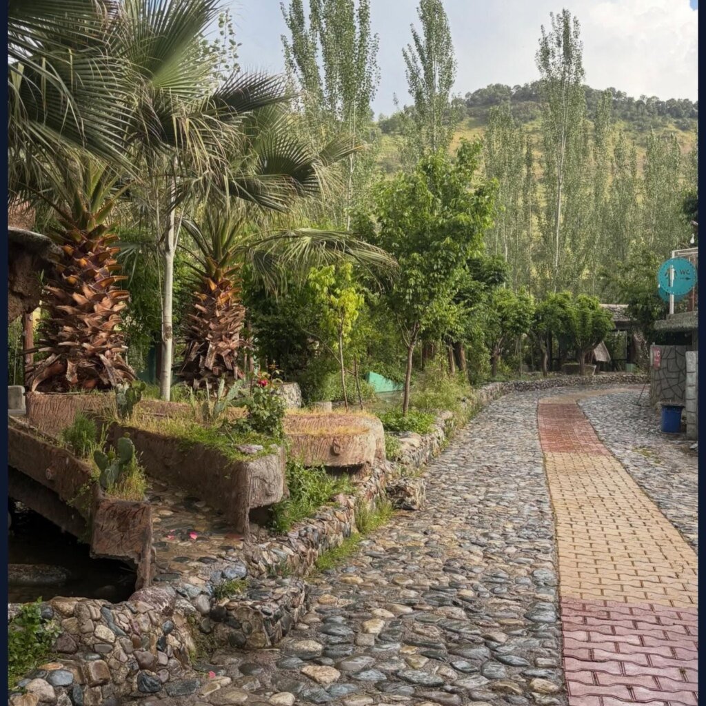کوالا پارک