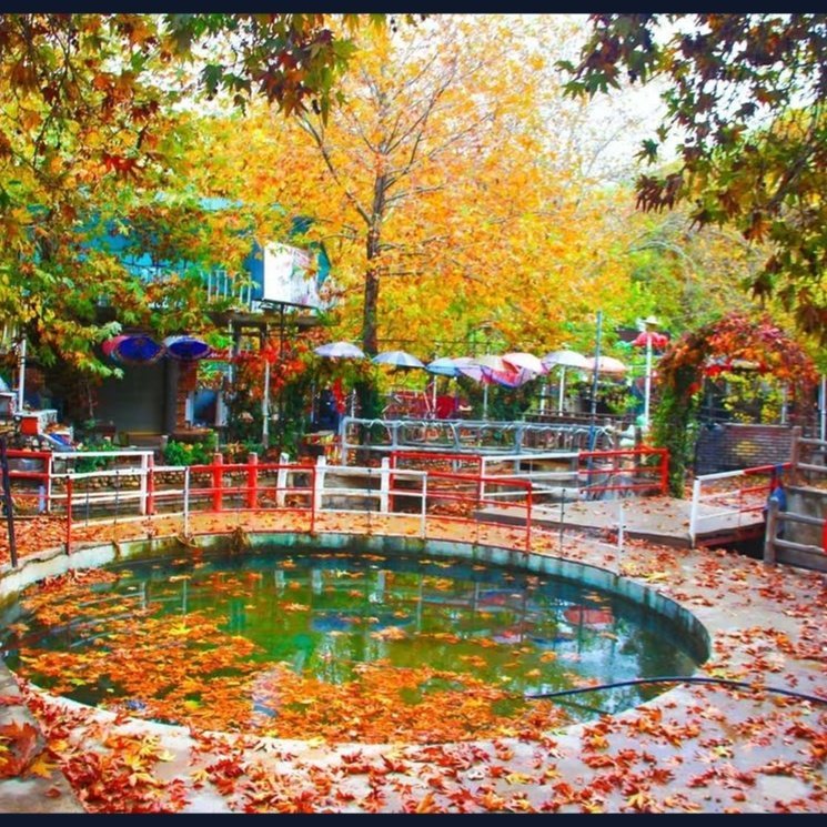 سەیرانگای چاوگ