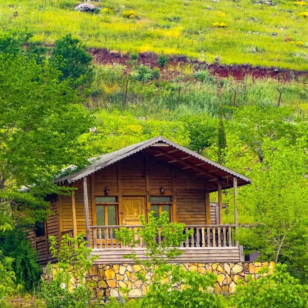 کۆمەڵگەی گەشتیاری ئاوێسەر